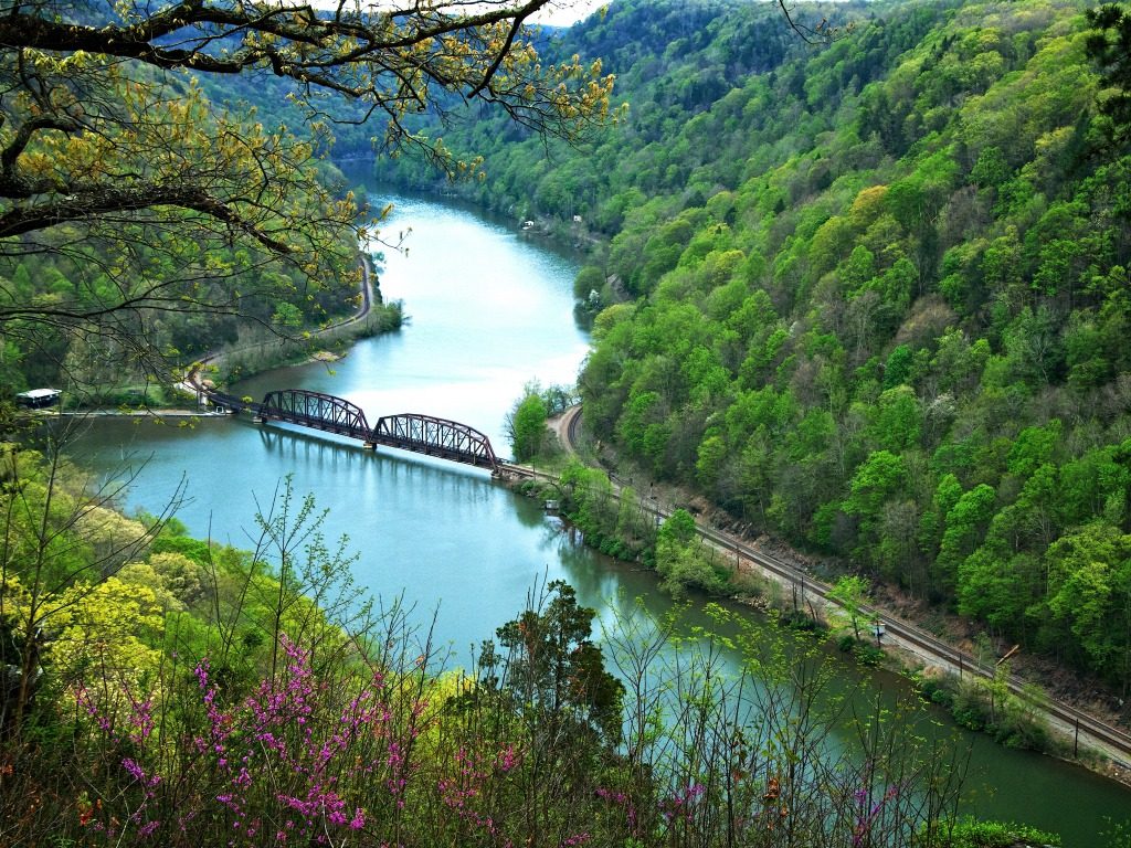 Sughra's Beauties of Nature Blog